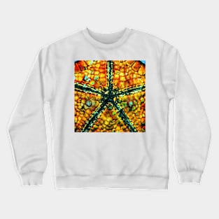 starfish Crewneck Sweatshirt